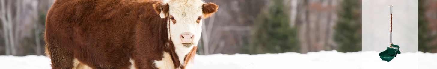 Beheizbare Tränken und Tröge